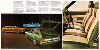 1972 AMC Full Line-12-13.jpg